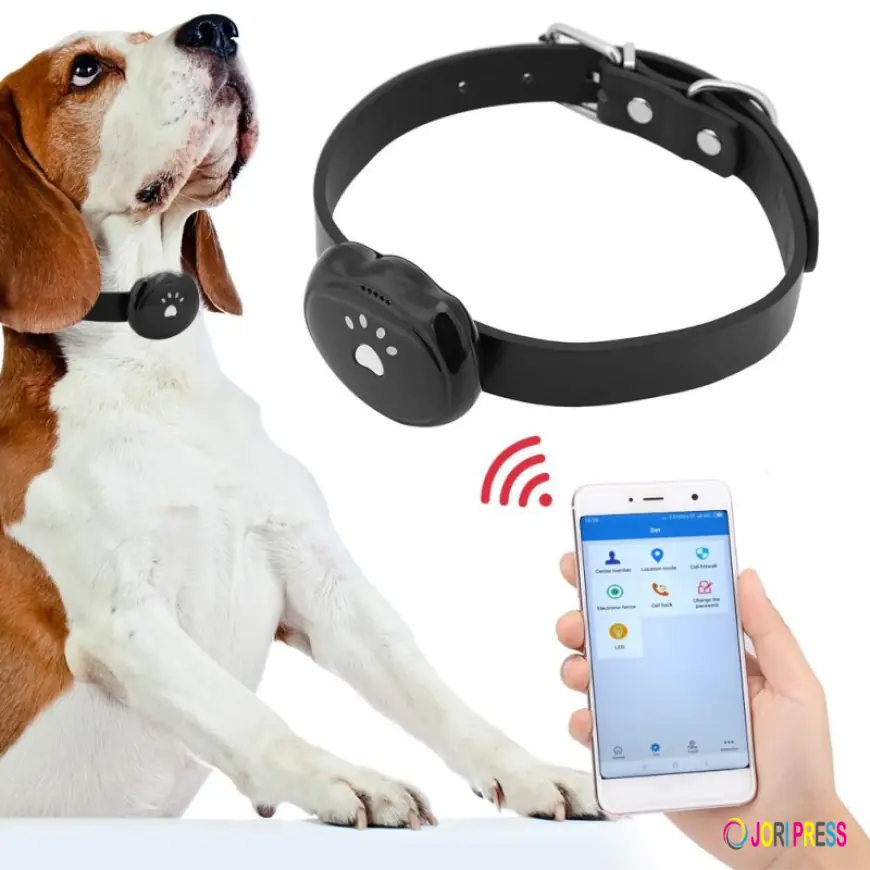 Smart Pet Collar Market Growth Trends, Innovations, Forecasts and Global Consumer Demand Analysis