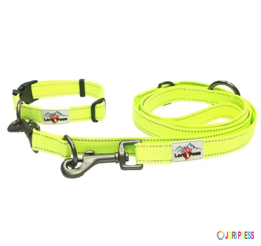 The Complete Guide to Choosing the Right Harness for Puppy Training in the UK