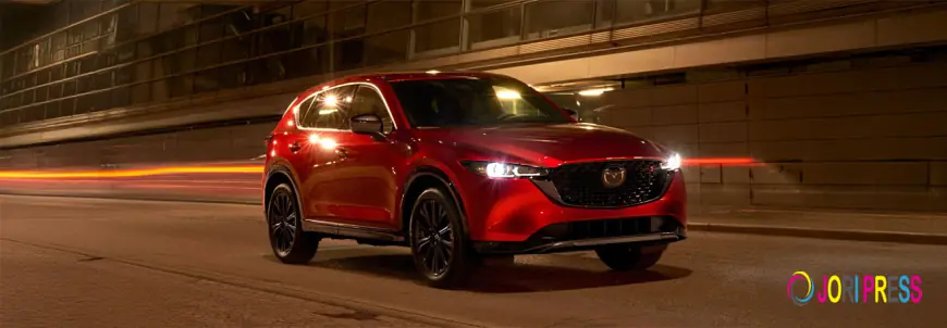 Used Cars for Sale in South Africa: Popular Types and Models