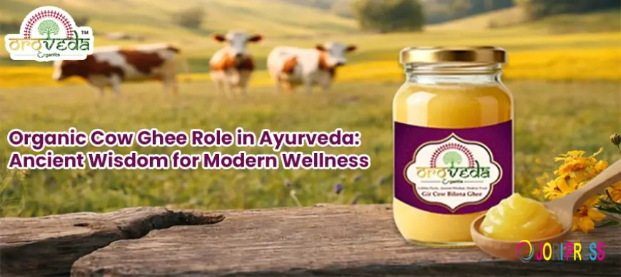 Organic Cow Ghee Role in Ayurveda: Ancient Wisdom for Modern Wellness