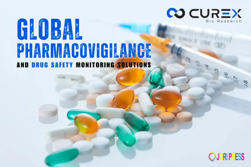 Global Pharmacovigilance and Drug Safety Monitoring Solutions in 2026