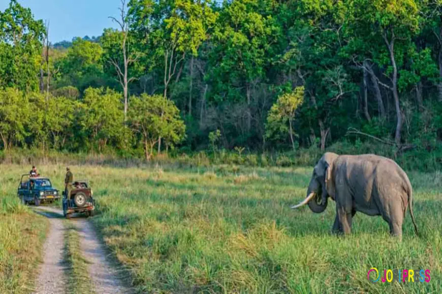 Moradabad to Ramnagar Cab | Moradabad to Ramnagar Taxi