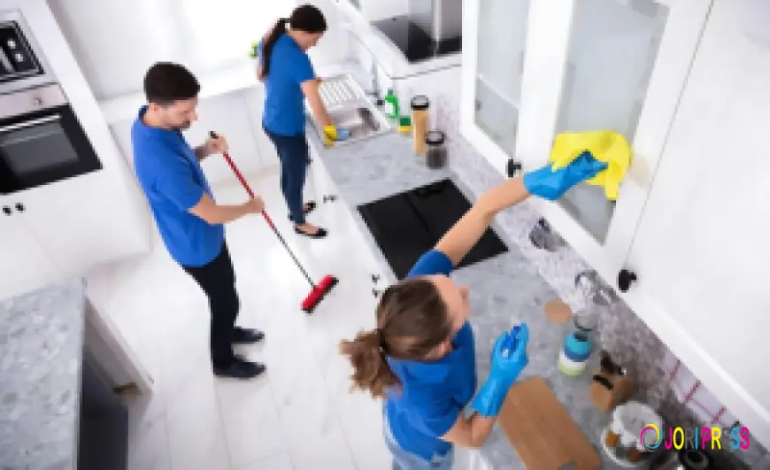 Revitalize Your Home: Why Professional Carpet and Upholstery Cleaning Matters