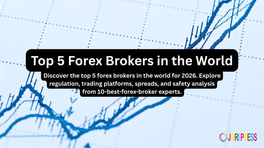 Why the Top 5 Forex Brokers Worldwide Dominate the Market in 2026