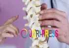 How Can a Degenerative Disc Chiropractor in Portland OR Support Long-Term Spine Health?