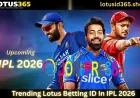 Lotus365 IPL Cricket Betting Secure Your Lotus Betting ID