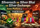 Silverexch vs Silver Bhai vs Silver Exchange: Same Platform or Scam? (Truth Revealed!)