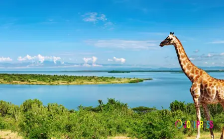 What to Pack for a Uganda Safari