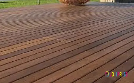 How Indoor Landscapes Can Enhance Your Home?