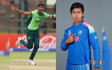 Playcric – Your Cricket Companion