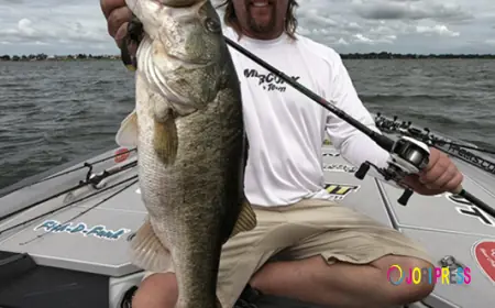 How Does a Finesse Spinning Reel Change Your Catch Rate in High-Pressure Fishing Conditions?