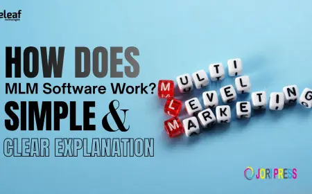 How Does MLM Software Work? A Simple and Clear Explanation
