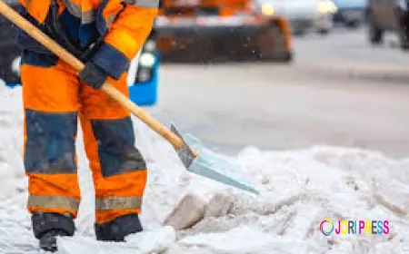 Alpha Snow Remover Service in Canada: Reliable, Professional & People-First Snow Removal