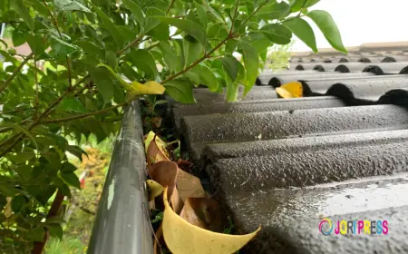 Are Overflowing Gutters Causing Problems? Can a Gutter Cleaning Company Fix It Fast?
