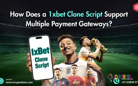How Does a 1xbet Clone Script Support Multiple Payment Gateways?
