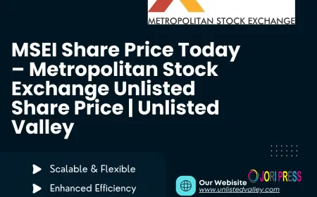 MSEI Share Price Today: Understanding MSEI Unlisted Shares