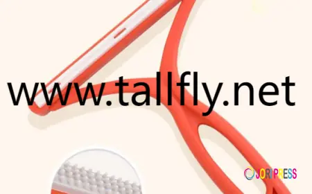 Are You Missing Hidden Pet Hair in These Common Spots