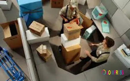 Reasons Furniture Loading Quotes Help You Plan a Stress-Free Move