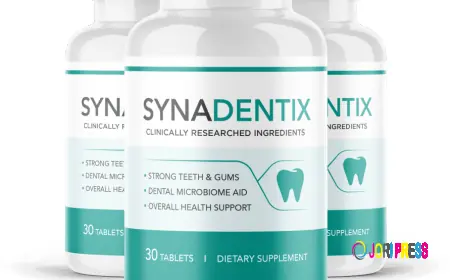 Synadentix Benefits: A Powerful Natural Solution for Dental Care