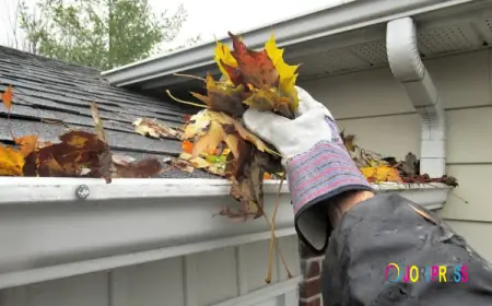 Gutter Cleaning Oceanside