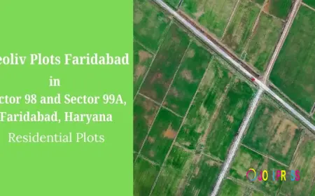 Neoliv Plots Faridabad – A Premium Land Investment in Sector 98 & Sector 99