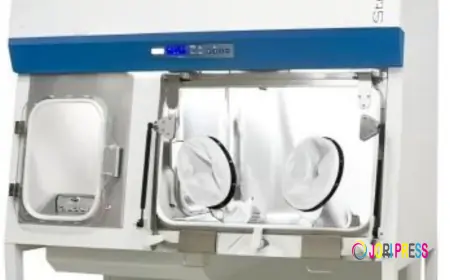 The Complete Guide to Advanced Cleanroom Solutions for Modern Industries