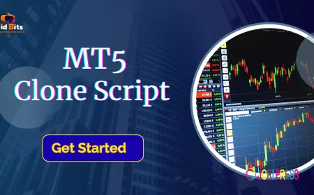 MT5 Clone Script with Secure API Integration and Liquidity Management