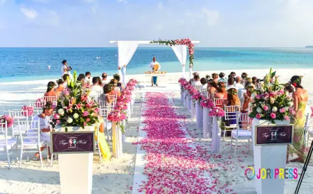 How to Plan the Perfect Celebration: Destination Weddings in India