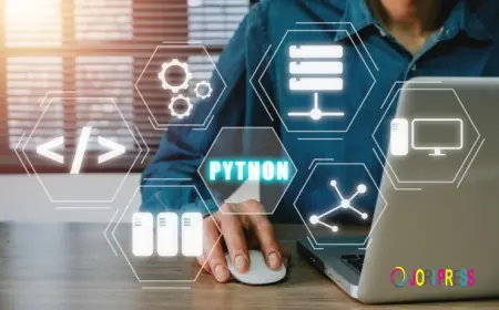 Python and PHP: The Backbone of Modern Custom Web Development