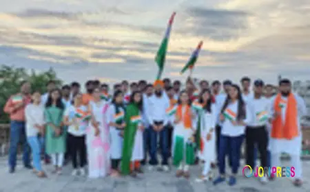 Local SEO Training in Jaipur: Boost Your Business with Quibus Trainings