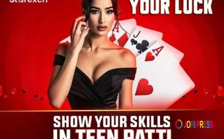 Starexch: Your Hub for Online Contest Thrills