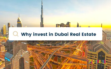 Why Invest in Dubai Real Estate: Benefits, Opportunities, and Insights