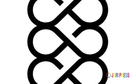 8 Effective Ways on How to Improve SEO & Digital Presence