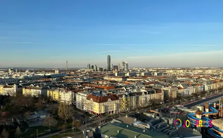 Best Soundproofing Materials for Walls Compared