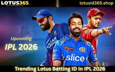 Lotus365 IPL Cricket Betting Secure Your Lotus Betting ID