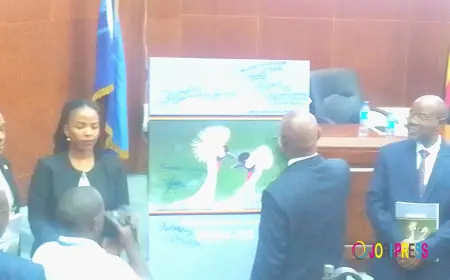 Finance Minister Amos Lugolobi launches UBOS's Malaria Indicator Survey findings for data users.