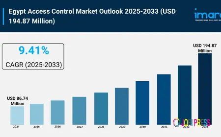 Egypt Access Control Market Size & Trends Forecast 2025-2033