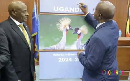 Finance Minister Amos Lugolobi launches UBOS's Malaria Indicator Survey findings for data users.