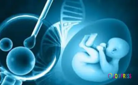 IVF Center in Jalandhar: A Complete Guide for Couples Planning Fertility Treatment