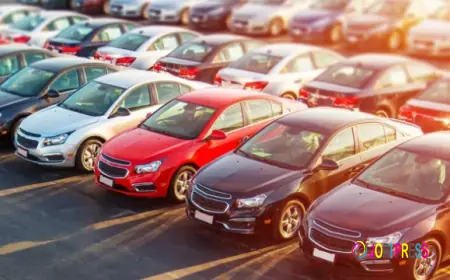 Complete Guide to the Vehicle Bidding Process in Sharjah | Al Qaryah Auctions