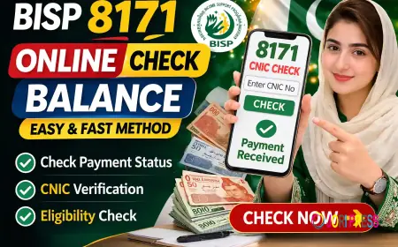 BISP 8171 Online Check Balance – Complete Guide to Verify Your Payment
