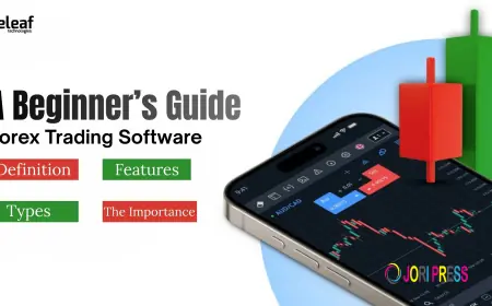A Beginner’s Guide to Forex Trading Software and How It Works