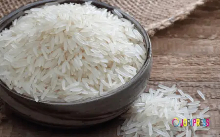 Cream Sella Basmati Rice: Benefits, Cooking & Export Quality