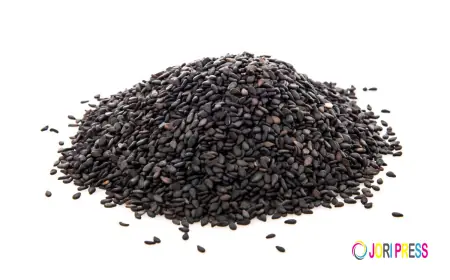 Sesame Seeds in Global Markets: Manufacturers, Suppliers, and Brands in India