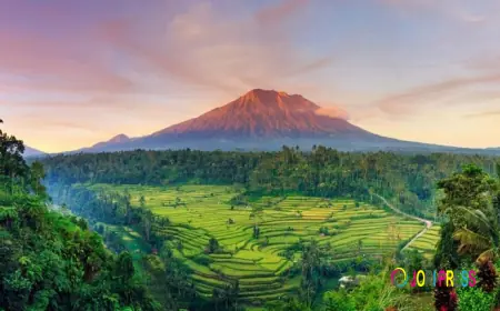 9 Yoga and Wellness Retreats in Bali 2026