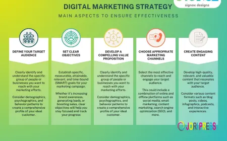 Best Digital Marketing Agency in Ahmedabad | Signox Designs