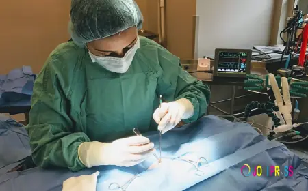 Why Do Veterinarians Recommend Early Spay and Neuter Surgery in Topeka for Cats and Dogs?