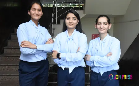 BA LL.B Career Options: What Can You Do After This Course?