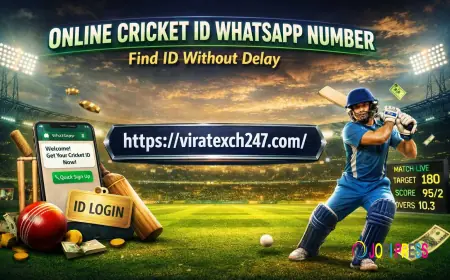 Online Cricket ID WhatsApp Number Find ID Without Delay