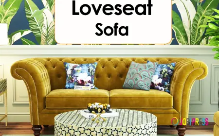 How to Choose the Perfect Sofa for Your Home